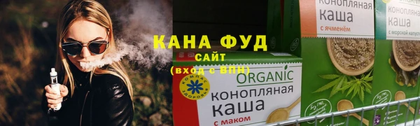 винт Лагань