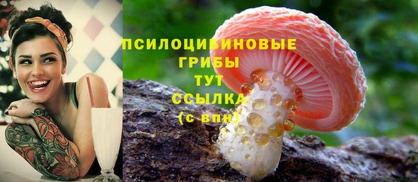 не бодяженный Краснотурьинск