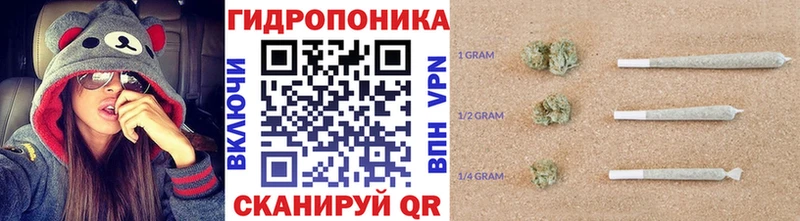 Бошки Шишки ГИДРОПОН  Лаишево 
